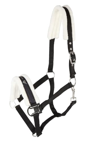 Pfiff 101515 Halfter mit Kunstfell unterlegt, Pferdehalfter Pony Full Cob Pfiff 101515 Halfter mit Kunstfell unterlegt, Pferdehalfter Pony Full Cob von PFIFF