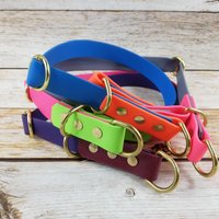 Zweifarbiges Zug-stopp-Schlupfhalsband Für Hunde Aus Biothane® | 25 Mm Breit Individuell Gefertigt in Wunschfarben Messing-Hardware von PFIFFDesign