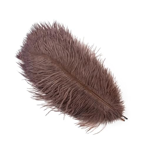 Federtanz Fächer Natürliche Federn 25-30cm 30-35cm Hochzeitsdekoration Tischdekoration Karneval Plumas Decor 10 Teile/Beutel Farbige DIY Plume(Dark Brown,30-35cm 12-14inch) von PFIOEUL