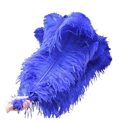 PFIOEUL Federtanz Fächer 10 Teile/los Elegante Natürliche Federn 50-55cm for Handwerk Hochzeit Partei Liefert Karneval Tänzerin Dekoration Gefieder(Royalblue) von PFIOEUL