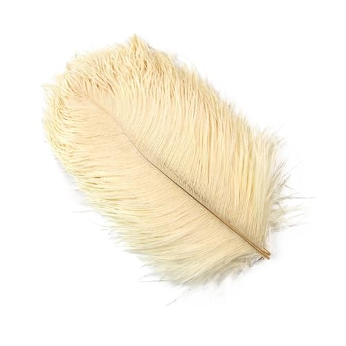 PFIOEUL Federtanz Fächer 10 Teile/los Natürliche Bunte Federn for Handwerk Hochzeit Party Dekoration Echte Tisch Mittelstücke Plumas Decor(Beige,45-50cm) von PFIOEUL