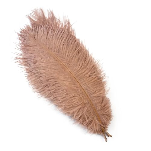 PFIOEUL Federtanz Fächer 10 Teile/los Natürliche Bunte Federn for Handwerk Hochzeit Party Dekoration Echte Tisch Mittelstücke Plumas Decor(Brown,15-20cm) von PFIOEUL