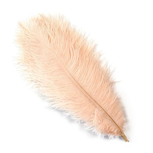 PFIOEUL Federtanz Fächer 10 Teile/los Natürliche Bunte Federn for Handwerk Hochzeit Party Dekoration Echte Tisch Mittelstücke Plumas Decor(Champagne,45-50cm) von PFIOEUL
