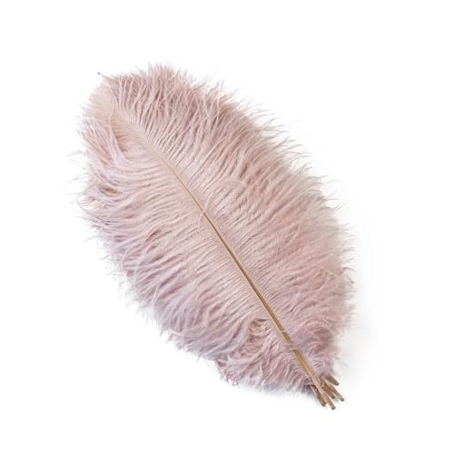 PFIOEUL Federtanz Fächer 10 Teile/los Natürliche Bunte Federn for Handwerk Hochzeit Party Dekoration Echte Tisch Mittelstücke Plumas Decor(Color-25,30-35cm) von PFIOEUL