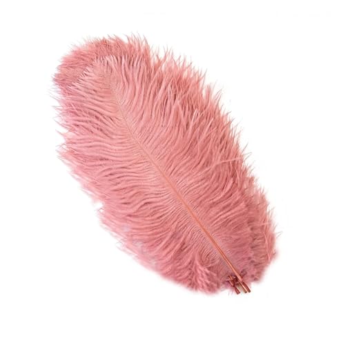 PFIOEUL Federtanz Fächer 10 Teile/los Natürliche Bunte Federn for Handwerk Hochzeit Party Dekoration Echte Tisch Mittelstücke Plumas Decor(Dark pink,15-20cm) von PFIOEUL