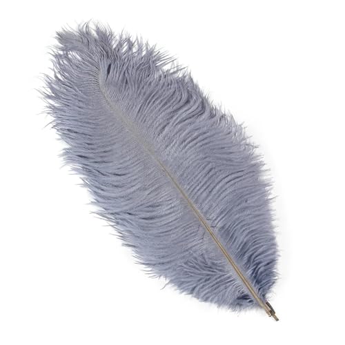 PFIOEUL Federtanz Fächer 10 Teile/los Natürliche Bunte Federn for Handwerk Hochzeit Party Dekoration Echte Tisch Mittelstücke Plumas Decor(Grey,25-30cm) von PFIOEUL