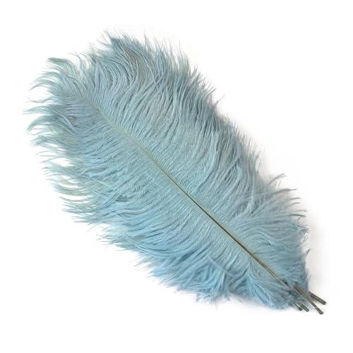 PFIOEUL Federtanz Fächer 10 Teile/los Natürliche Bunte Federn for Handwerk Hochzeit Party Dekoration Echte Tisch Mittelstücke Plumas Decor(Light Blue,35-40cm) von PFIOEUL