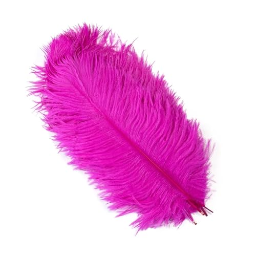 PFIOEUL Federtanz Fächer 10 Teile/los Natürliche Bunte Federn for Handwerk Hochzeit Party Dekoration Echte Tisch Mittelstücke Plumas Decor(Rose,45-50cm) von PFIOEUL