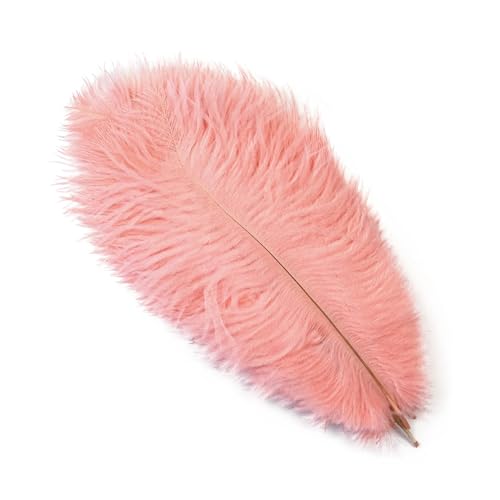 PFIOEUL Federtanz Fächer 10 Teile/los Natürliche Bunte Federn for Handwerk Hochzeit Party Dekoration Echte Tisch Mittelstücke Plumas Decor(Shrimp pink,30-35cm) von PFIOEUL