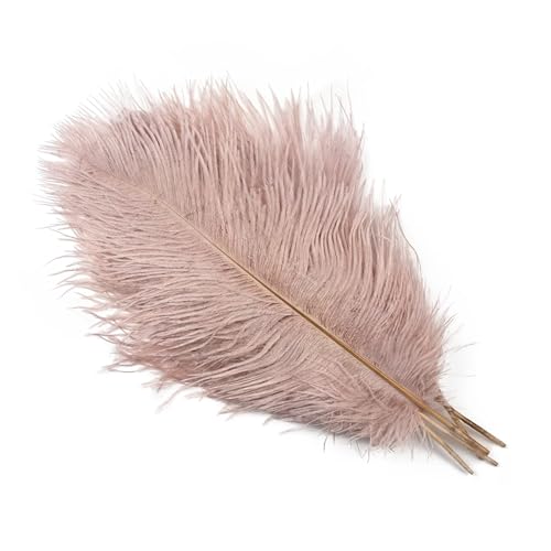 PFIOEUL Federtanz Fächer 10 Teile/los Natürliche Bunte Federn for Handwerk Hochzeit Party Dekoration Echte Tisch Mittelstücke Plumas Decor(Vail Pink,45-50cm) von PFIOEUL