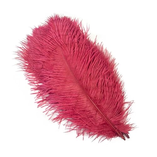 PFIOEUL Federtanz Fächer 10 Teile/los Natürliche Bunte Federn for Handwerk Hochzeit Party Dekoration Echte Tisch Mittelstücke Plumas Decor(Wine,25-30cm) von PFIOEUL