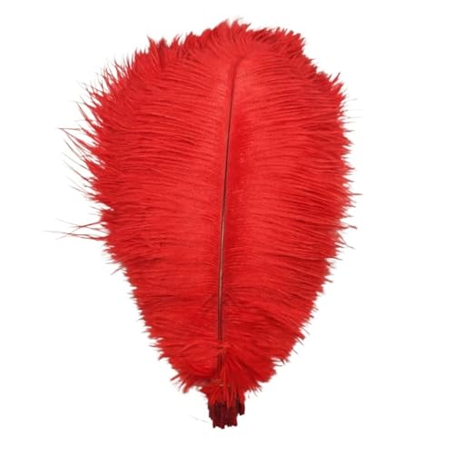 PFIOEUL Federtanz Fächer 35-40 cm Federn for Handwerk Hotel Party Hochzeit Dekoration Plumes Weiß Schwarz Feder(Red,10pcs) von PFIOEUL