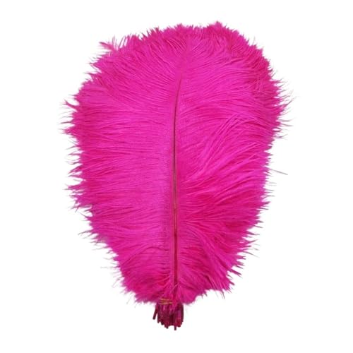 PFIOEUL Federtanz Fächer 35-40 cm Federn for Handwerk Hotel Party Hochzeit Dekoration Plumes Weiß Schwarz Feder(Rose,10pcs) von PFIOEUL