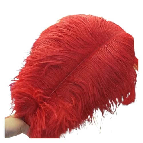 PFIOEUL Federtanz Fächer 50-55CM 20-22-Zoll große Stange Federn natürliche gefärbt Karneval Dekor Federn for Handwerk Hochzeit Dekorationen Plume(Red,10pcs) von PFIOEUL