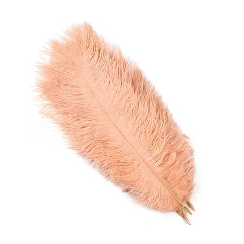 PFIOEUL Federtanz Fächer Natürliche Federn 25-30cm 30-35cm Hochzeitsdekoration Tischdekoration Karneval Plumas Decor 10 Teile/Beutel Farbige DIY Plume(Champagne,30-35cm 12-14inch) von PFIOEUL