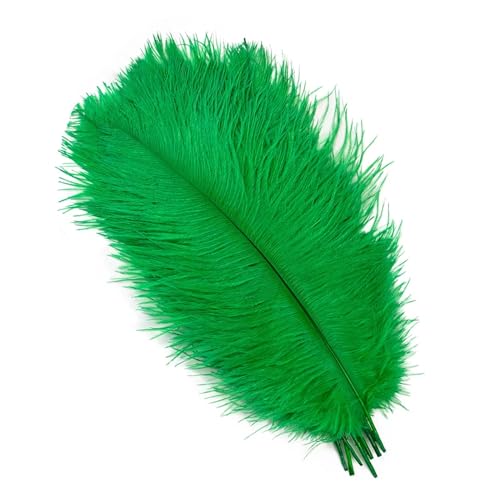 PFIOEUL Federtanz Fächer Natürliche Federn 25-30cm 30-35cm Hochzeitsdekoration Tischdekoration Karneval Plumas Decor 10 Teile/Beutel Farbige DIY Plume(Grass Green,30-35cm 12-14inch) von PFIOEUL