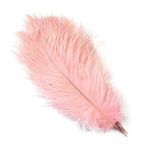 PFIOEUL Federtanz Fächer Natürliche Federn 25-30cm 30-35cm Hochzeitsdekoration Tischdekoration Karneval Plumas Decor 10 Teile/Beutel Farbige DIY Plume(Light pink,25-30cm 10-12inch) von PFIOEUL