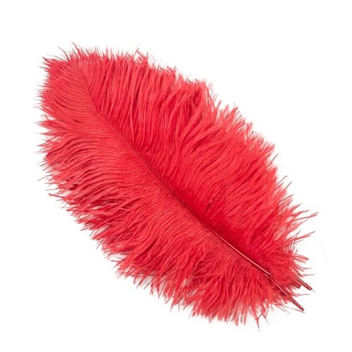 PFIOEUL Federtanz Fächer Natürliche Federn 25-30cm 30-35cm Hochzeitsdekoration Tischdekoration Karneval Plumas Decor 10 Teile/Beutel Farbige DIY Plume(Red,25-30cm 10-12inch) von PFIOEUL