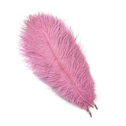PFIOEUL Federtanz Fächer Natürliche Federn 25-30cm 30-35cm Hochzeitsdekoration Tischdekoration Karneval Plumas Decor 10 Teile/Beutel Farbige DIY Plume(Rouge pink,25-30cm 10-12inch) von PFIOEUL