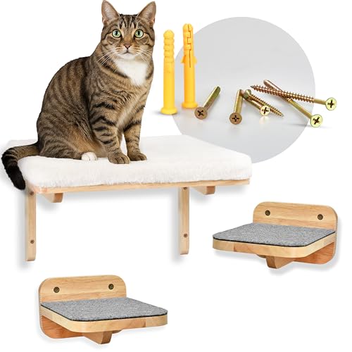PFOTENGUT® Katzen Kletterwand Set [3 Wandelemente] - Flexible Katzenwand mit großer Wandliege & 2 Treppenstufen inkl. Zubehör zur Wand-Montage [für Jede Katze geeignet] von PFOTENGUT