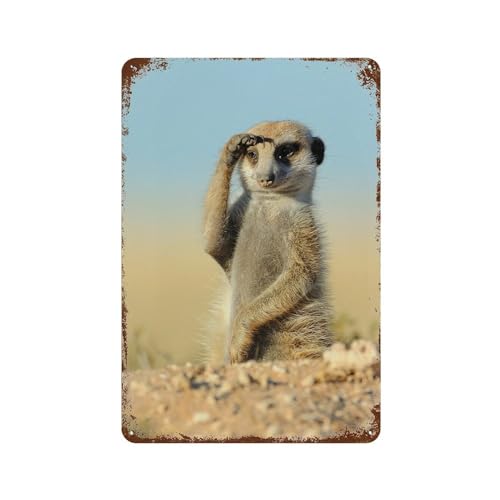 Erdmännchen,Vintage Blechschild, Metallschild, Poster für Bar, Café, Schule-15 x 30 cm （6 x12 Zoll）A-39 von PGCKSK
