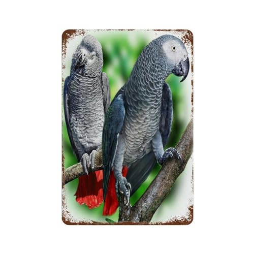 Graupapagei,Metall Blechschild Chic Art Retro Eisen Malerei Bar Menschen Höhle Cafe Familie Garage Poster Wanddekoration-30 x 40 cm (12 x 16 Zoll) D-27 von PGCKSK