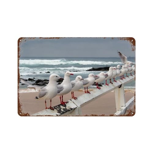 Möwe am Meer,Blechschild für Zuhause, Bar, Fitnessstudio, Mädchenzimmer-15 x 30 cm （6 x12 Zoll）D-2 von PGCKSK