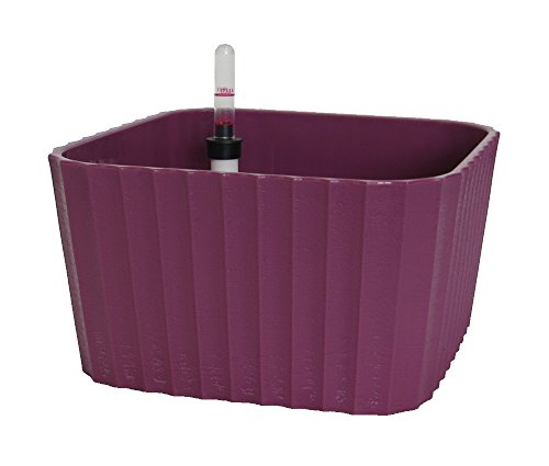 Decoline Blumentopf 2er Set Geriffelt mit Wasserstandanzeige (quadratisch, pink) von PGONA