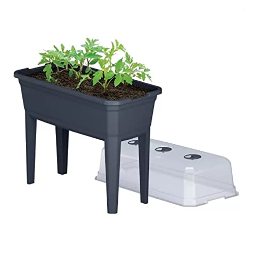 Hochbeet Anzuchttopf Blumentopf Frühbeet Gewächshaus Blumenkasten mit Abdeckung Anthrazit (600) von PGONA