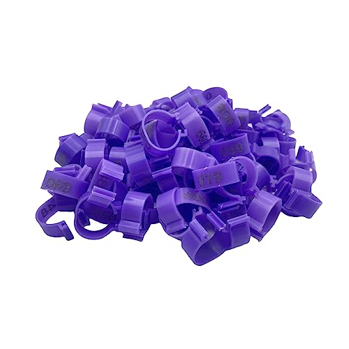 PGPGP 100 Stück 20 mm Geflügelbeinringe – langlebige Hühneridentifikationsringe for Enten, Hühner und mehr(Purple) von PGPGP