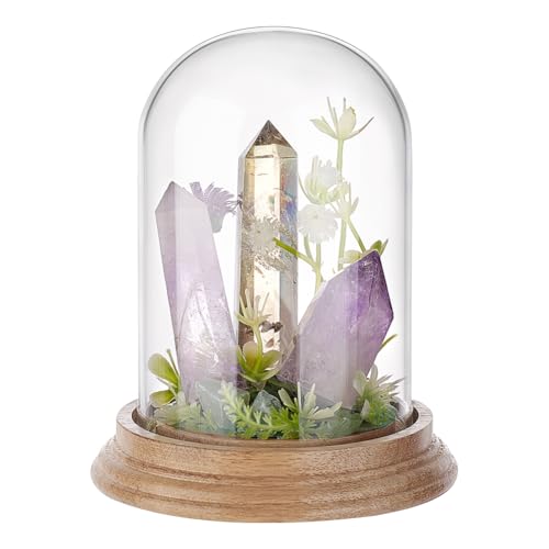 PH PandaHall 10x14cm Glas Displayglocke Glaskuppel Klare Glocke Glas Vitrine Tischplatte Herzstück Für DIY Schneekugel Blume HellBrown PH PandaHall 10x14cm Glas Displayglocke Glaskuppel Klare Glocke Glas Vitrine Tischplatte Herzstück Für DIY Schneekugel Blume HellBrown von PH PandaHall