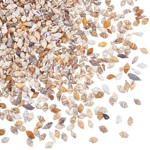 PH PandaHall 1290 Stück Winzige Muscheln Ohne Loch Natürliche Conch Muschel Masse Für Kunstharzhandwerk Kerzenherstellung Vasenfüller Fischtank Spiegel Dekoration 7~15mm PH PandaHall 1290 Stück Winzige Muscheln Ohne Loch Natürliche Conch Muschel Masse Für Kunstharzhandwerk Kerzenherstellung Vasenfüller Fischtank Spiegel Dekoration 7~15mm von PH PandaHall