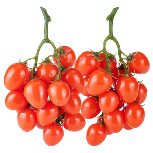 PH PandaHall 2er Pack Künstliche Kirschtomaten Künstliches Obst lebensechte Simulation Tomate Künstliche rote Tomaten Dekoration Falsche Frucht Requisiten für Zuhause Küche Party Requisite von PH PandaHall