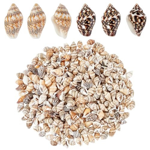 PH PandaHall 330 Stück Natürliche Muschelperlen 2 Stile Kleine Spiralmuscheln Ozean Strand Muscheln Gebohrte Bastel Muscheln Mit 1 Mm Loch Für Die Schmuckherstellung Partydekoration PH PandaHall 330 Stück Natürliche Muschelperlen 2 Stile Kleine Spiralmuscheln Ozean Strand Muscheln Gebohrte Bastel Muscheln Mit 1 Mm Loch Für Die Schmuckherstellung Partydekoration von PH PandaHall