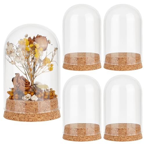 PH PandaHall 4 Stück Glasglocke Mit Kuppel Glockenglas Mit Korken Kleine Glasflaschen Kuppel Dekorative Gläser Vitrine Für Blumenaufbewahrung Zuhause Weihnachten Party Gastgeschenk 6x9.9cm von PH PandaHall