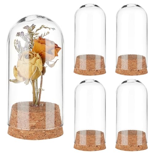 PH PandaHall 4 Stück Glaskuppelglocke Glasglocke Mit Korkboden Mini Glasflaschen Für Die Blumenaufbewahrung Zuhause Weihnachten Party Dekoration 3.7x7.8cm von PH PandaHall