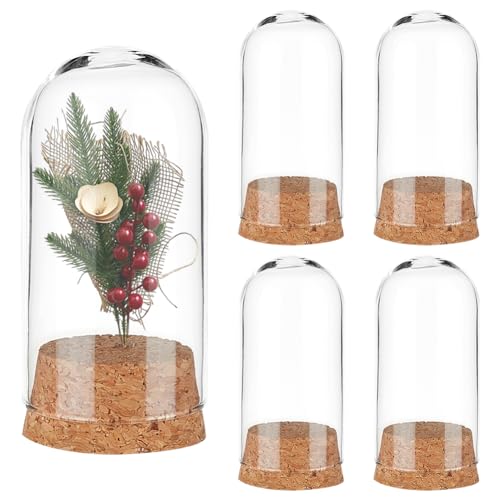 PH PandaHall 4 Stück Glaskuppelglocke Glasglocke Mit Korkboden Mini Glasflaschen Für Die Blumenaufbewahrung Zuhause Weihnachten Party Dekoration 3.7x7.8cm von PH PandaHall