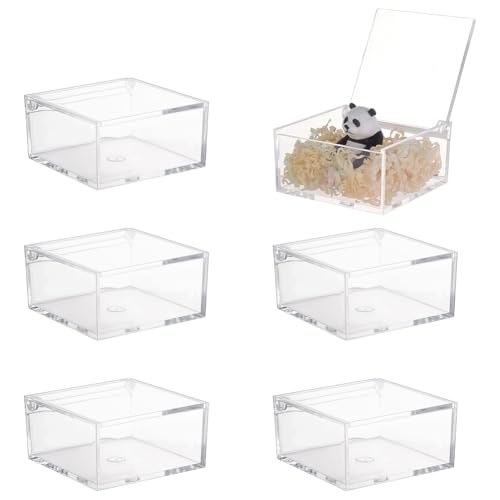 PH PandaHall 6 Stück Klarsicht-Acryl-Box 8.2x8.2x4cm Quadratische Würfelbehälter mit Deckeln Transparente Aufbewahrungsboxen Mini-Display-Box für Schmuck Handwerk Hochzeit Party Favor Geschenke von PH PandaHall