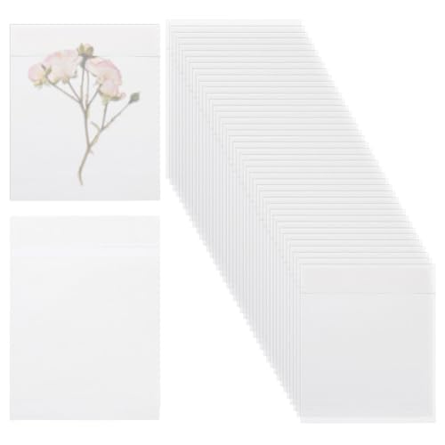 PH PandaHall 60 Stück Pergaminbeutel Selbstklebende Pergaminpapierumschläge Selbstklebende Tüten Aus Wachspapier Für Kekse Süßigkeiten Seife Karten Snacks 13x9.2cm PH PandaHall 60 Stück Pergaminbeutel Selbstklebende Pergaminpapierumschläge Selbstklebende Tüten Aus Wachspapier Für Kekse Süßigkeiten Seife Karten Snacks 13x9.2cm von PH PandaHall
