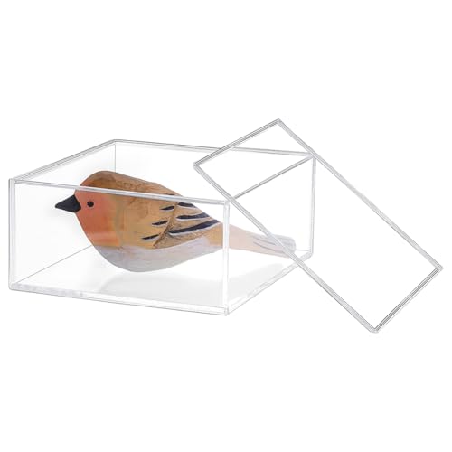 PH PandaHall Klarer Würfel Expositionsbehälter Quadratischer Transparenter Acryl Juwelenverpackungskasten mit Deckel Mehrzweck Quadratischer Behälter für Büro Schreibtisch Dekoration 10.5x10.5x5.1cm PH PandaHall Klarer Würfel Expositionsbehälter Quadratischer Transparenter Acryl Juwelenverpackungskasten mit Deckel Mehrzweck Quadratischer Behälter für Büro Schreibtisch Dekoration 10.5x10.5x5.1cm von PH PandaHall