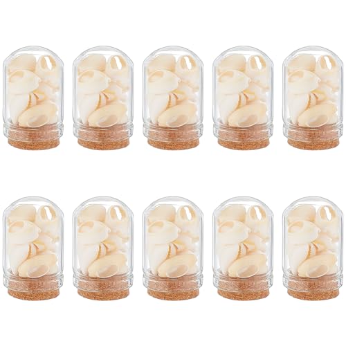 PandaHall 10 Stück Strand Nachrichtenflaschen Glasflasche Strand Ornamente Mini Kauri Muschel Glasgefäß Ozean Thema Glaskuppel Glockenglas Mit Natürlicher Muschel Hängende Ornamente Set Für Party von PH PandaHall