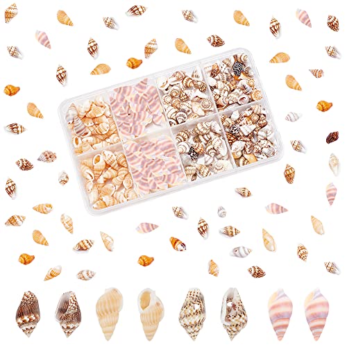 PandaHall 260 Stück Muscheln 4 Styles Ocean Spiral Seashells Tiny Beach Conch Shells Marine Life Seashells Für Beach Theme Party Strand-Fee-Garten Kerzenherstellung Hochzeitsdekor Aquarium von PH PandaHall
