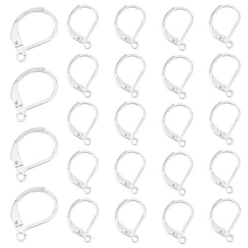 PandaHall 60 Stück 304 Edelstahl-Ohrringe mit Hebelverschluss, Französischer Haken, Französische Ohrhaken mit offener Schlaufe für die Schmuckherstellung, Silberfarben, 15x10x2mm von PH PandaHall