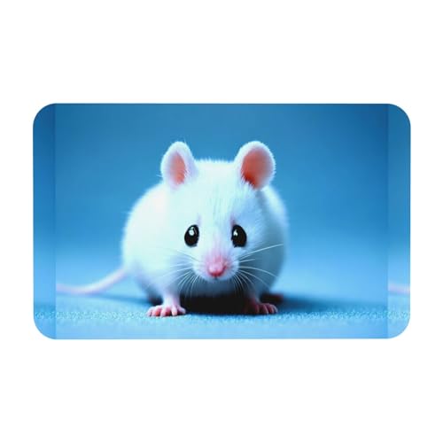 PHAYAH Rutschfeste Fußmatte aus Gummi, Motiv: niedliche Mäuse, saugfähig, widerstandsfähig, Türmatte, Bodenmatte, 50 x 80 cm von PHAYAH