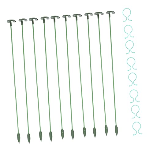 PHENOFICE 1 Satz Blumenstützstäbe Robuste Stangen Clips für Pflanzenunterstützung Stangen für Bonsai Kleine Topfpflanzen Garten Grünes Design für Gesunde Pflanzenpflege PHENOFICE 1 Satz Blumenstützstäbe Robuste Stangen Clips für Pflanzenunterstützung Stangen für Bonsai Kleine Topfpflanzen Garten Grünes Design für Gesunde Pflanzenpflege von PHENOFICE