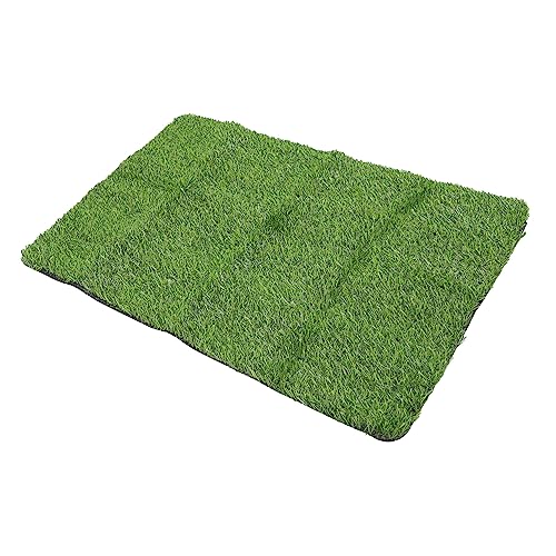 PHENOFICE 1 Stück Kunstrasen Fußmatte rutschfeste Eingangsmatte für Outdoor Indoor Schmutzfänger für Flur und Eingangsbereich Robuste und Witterungsbeständige Türmatte mit Zufällige Farbe von PHENOFICE