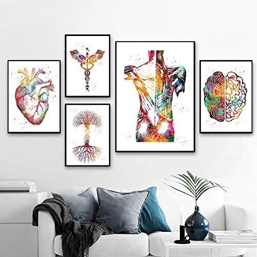 Herz Gehirn Menschliche Anatomie Poster Kunstdrucke Organ Anatomie Medizin Wand Bilder Aquarell GemäLde Leinwand Bild Klinik Medical Office Dekor Bilder Ungerahmt von PHGFK