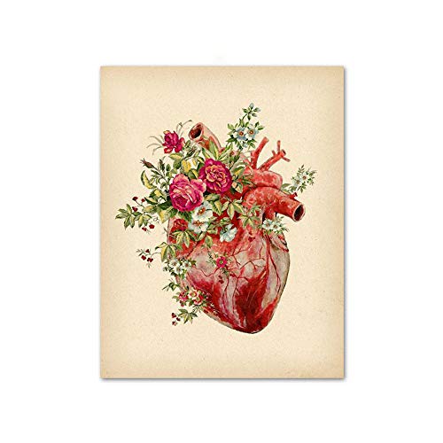 Herz Organ Anatomie Poster Vintage Blumendrucke Menschliche Anatomie Medizin Wand Bilder Leinwand Bild Arztpraxis Klinik Dekor Bild 40x60cm Ungerahmt von PHGFK