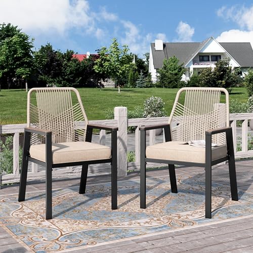 PHI VILLA Gartenstuhl Gartensessel Balkonstuhl Outdoor Sessel Chair Balkonstühle 2er Set, Balkon Stühle Stuhl Wetterfest Metall und Rattan von PHI VILLA