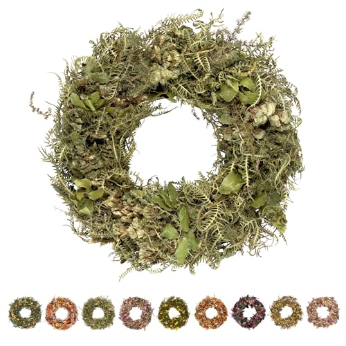 PHILARO Trockenblumenkranz All Seasons Ø 29cm grün - kein Plastik I Trockenblumen Premium Qualität aus Europa - Türkranz - Tischkranz - Wandkranz - Trockenblumenkranz PHILARO Trockenblumenkranz All Seasons Ø 29cm grün - kein Plastik I Trockenblumen Premium Qualität aus Europa - Türkranz - Tischkranz - Wandkranz - Trockenblumenkranz von PHILARO